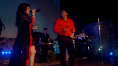 Sinji galeb
