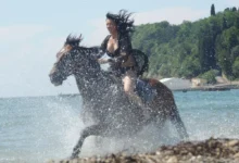 Andreja Z.